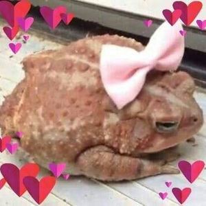 Meet your Posher, Becca